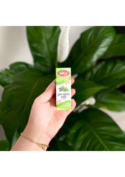 Çay Ağacı Yağı