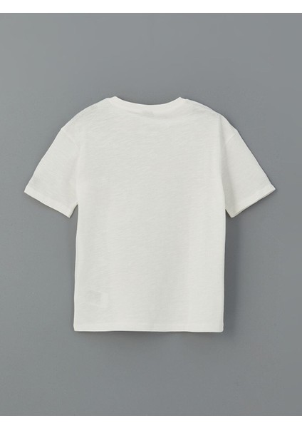 Lcw Kids Bisiklet Yaka Basic Erkek Çocuk Tişört (S5) fiyatları