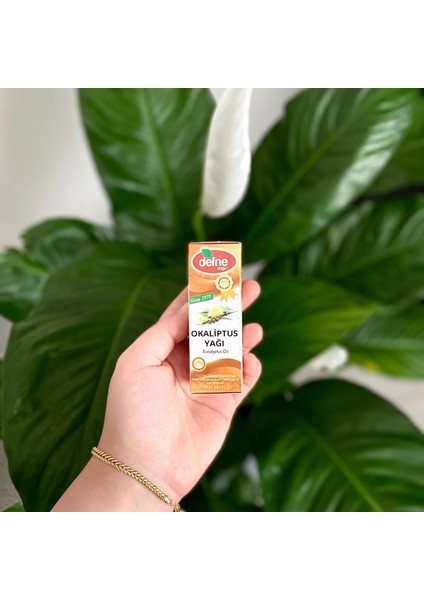 Okaliptus Yağı