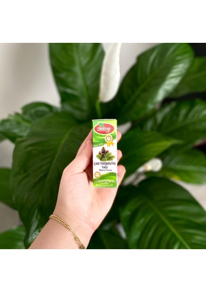 Çam Terebentin Yağı