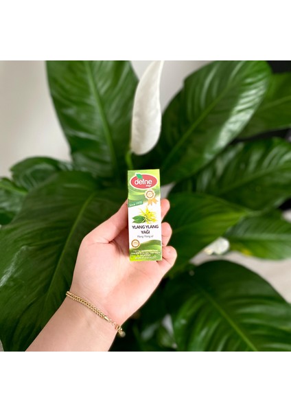 Ylang Ylang Yağı