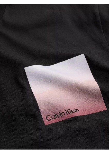 Erkek Sırt Bölüm Çizgi ve Yazı Desenli T-Shirt K10K114164-YAF fırsatları