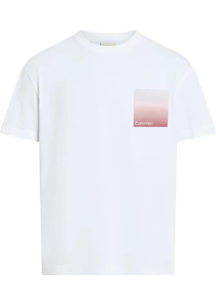 Erkek Sırt Bölüm Çizgi ve Yazı Desenli T-Shirt K10K114164-YAF