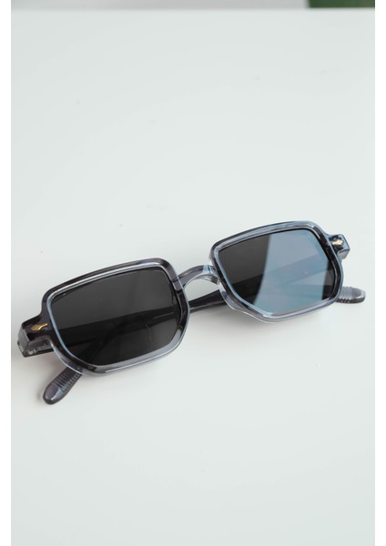 Royal Eyewear RE1022 Parlak Gri Güneş Gözlüğü