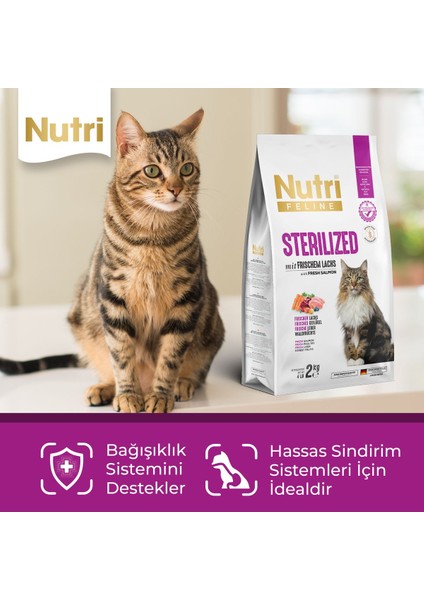 Adult Sterilised Kısırlaştırılmış Somonlu Yetişkin Kedi Maması 2 kg fiyatları