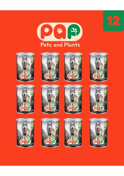 Yüksek Proteinli Kuzu Etli Yetişkin Köpek Konservesi 400 Gr.x 12 Adet