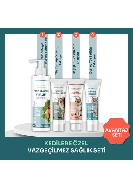 Kedilere Özel Vazgeçilmez Sağlık Seti, 4’lü Takviye