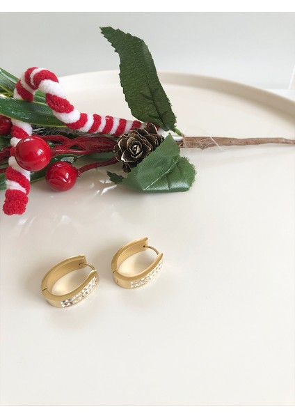 Zirkon Taşlı Gold Paslanmaz Çelik Halka Küpe fiyatları