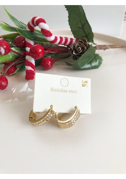 Zirkon Taşlı Gold Paslanmaz Çelik Halka Küpe modelleri