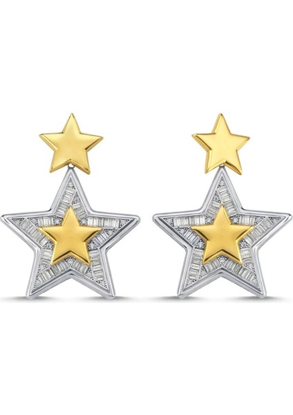 Çelik Stars Küpe