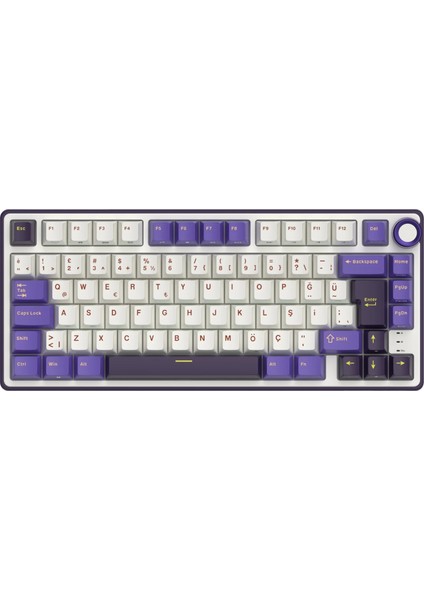 R75 75% Kablolu Türkçe Gaming Klavye (Beyaz-Mor) fiyatları