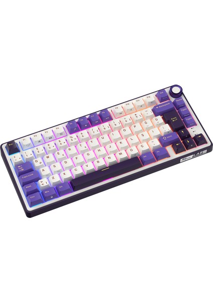 R75 75% Kablolu Türkçe Gaming Klavye (Beyaz-Mor) indirimleri