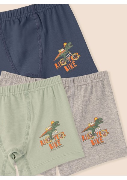 Erkek Çocuk Organik Pamuklu Likralı Boxer Ride Your Bike 3'lü Paket