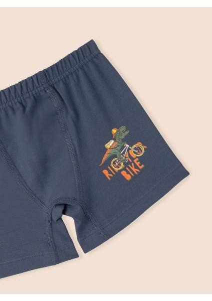 Erkek Çocuk Organik Pamuklu Likralı Boxer Ride Your Bike 3'lü Paket