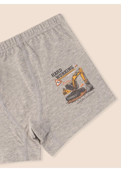 Erkek Çocuk Organik Pamuklu Likralı Boxer Hard Working 3'lü Paket