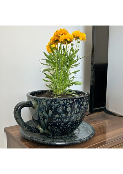 Dev Dekoratif Kahve Fincanı - Tabaklı Toprak Saksı 15*24 cm fiyatları