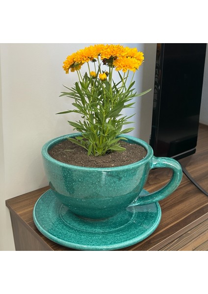 Dev Dekoratif Kahve Fincanı - Tabaklı Toprak Saksı 15*26 cm fırsatları