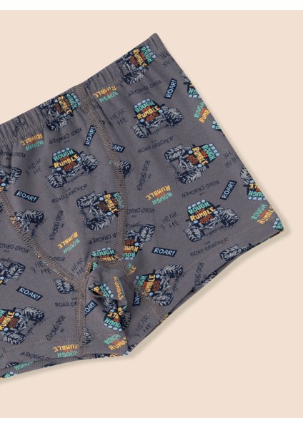 Erkek Çocuk Organik Pamuklu Likralı Boxer Araba Empirme 3'lü Paket modelleri