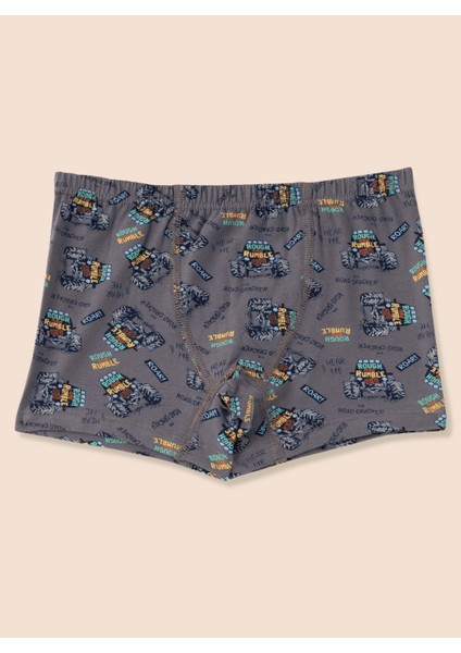 Erkek Çocuk Organik Pamuklu Likralı Boxer Araba Empirme 3'lü Paket fırsatları