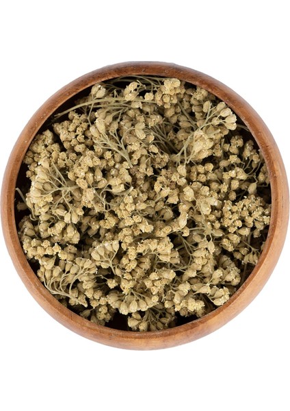 Civan Perçemi,ayvadana,kandil Çiçeği, Achillea 100GR