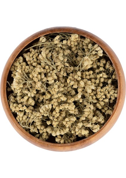 Civan Perçemi,ayvadana,kandil Çiçeği,achillea 50GR