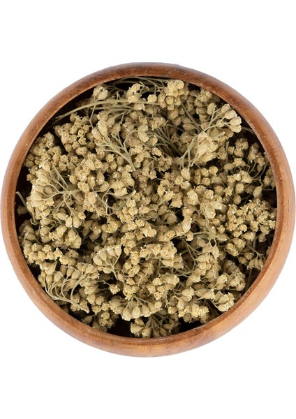 Civan Perçemi,ayvadana,kandil ÇIÇEĞI,ACHILLEA,200GR