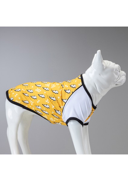 Flash Küçük, Orta ve Büyük Irk Köpek Tshirt
