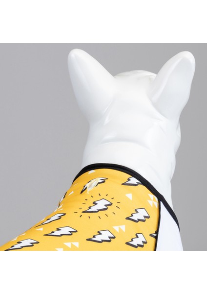 Flash Küçük, Orta ve Büyük Irk Köpek Tshirt