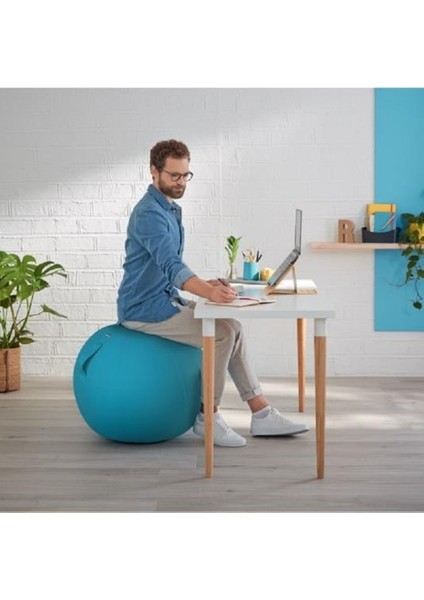 Ergo Cosy Active Oturma Topu Mavi - KOD:52790061 fiyatları