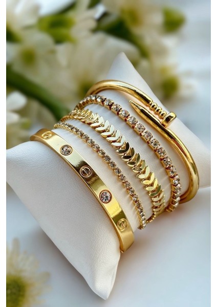 Renk Atmaz Özel Altın Kaplamalı 5'li Zirkon Taş & Balık Sırtı Detay Kadın Bileklik Kombini