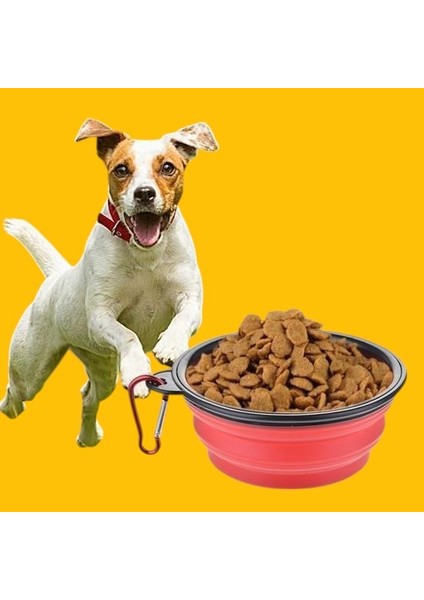 Katlanabilir Kedi-Köpek Mama ve Su Kabı | Taşınabilir & Çevre Dostu