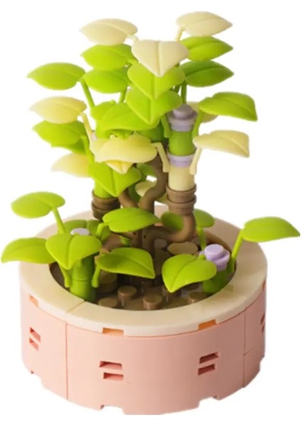 Diy Moc Saksı Bitkileri Sulu Meyveler Kaktüs Gypsophila Bonsai Ağaç Bahçeleri Romantik Yapı Taşları Model Tuğlalar Çocuk Setleri Oyuncaklar Renk: Kutu Olmadan 64PCS (Yurt Dışından)