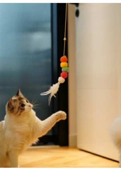 Kedi Oyun Oltası -Elastik Yapışkanlı