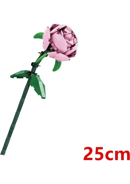 Dıy Pembe Siyah Glod Güller Gece Işık Bitkileri Iş ve Umut Sevgililer Günü Bahçeleri Yapı Taşları Model Tuğlalar Çocuk Setleri Renk: Kutu Yok (Yurt Dışından)