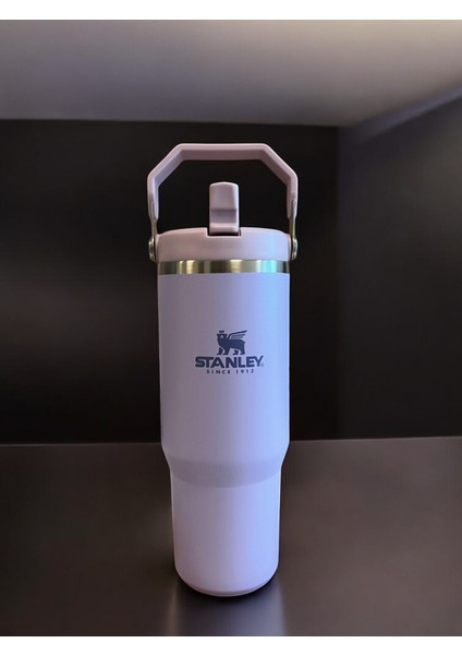 The Iceflow Flip Straw 0.89 Lt Pipetli