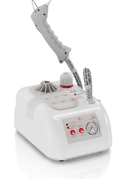 “goldental” Buharlı Temizleme Robotu - 1 Litre - Plastik Gövde