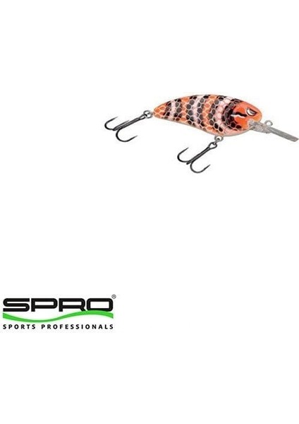 D. Spro Lj John Md 50 Milk Snake Maket Yem