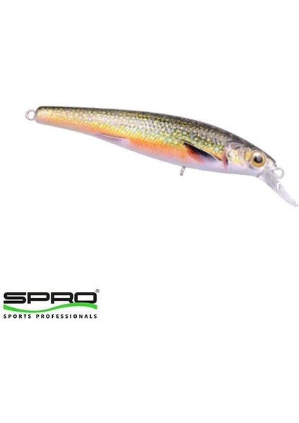 Ikiru Jerk 95 Sp Char Maket Yem