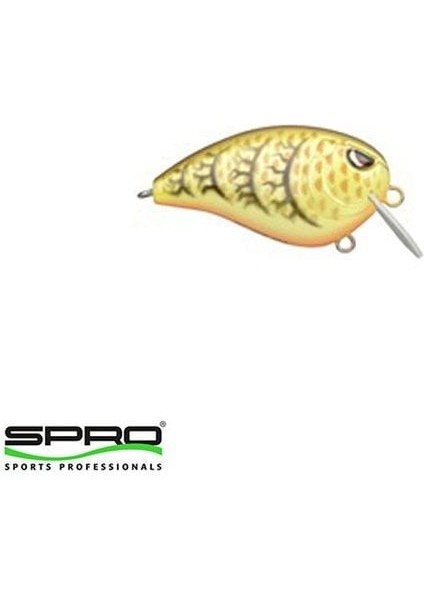 Baby Fat John 50 Big Pen Maket Yem