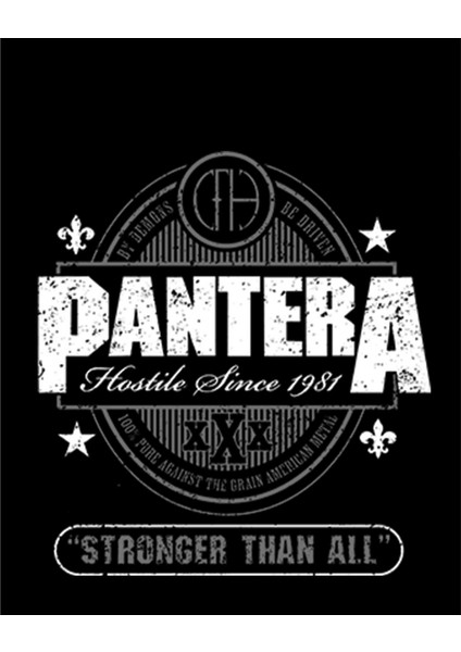 Pantera Stronger Than All Büyük Sırt Patch Yama