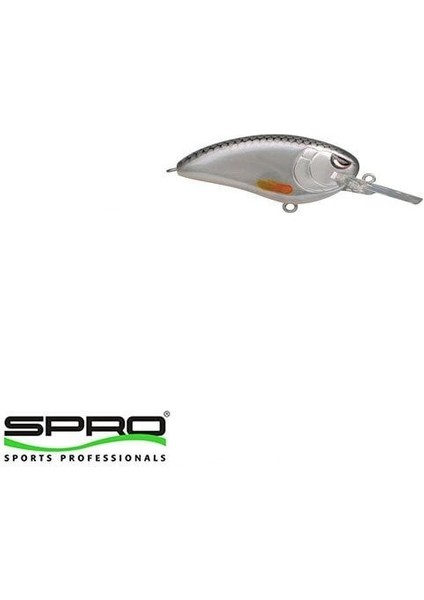 D. Spro Lj John Md 50 Spooky Roach Maket Yem