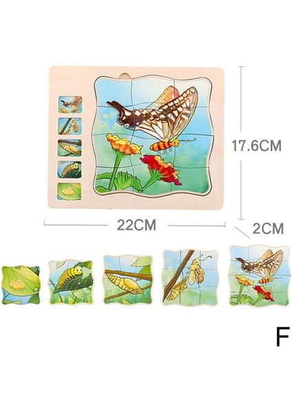 F Stili Eğitici 5 Katmanlı Ahşap Bulmaca Insan Vücut Yapısı Hayvan Hayat Döngüsü Zihinsel Oyun Anaokulu Bebek Montessori Eğitim Aracı (Yurt Dışından)