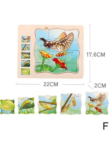 F Stili Eğitici 5 Katmanlı Ahşap Bulmaca Insan Vücut Yapısı Hayvan Hayat Döngüsü Zihinsel Oyun Anaokulu Bebek Montessori Eğitim Aracı (Yurt Dışından)
