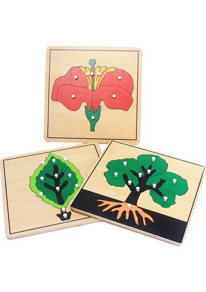 Ağaç Stili Bebek Montessori Malzemeleri Ahşap Bulmacalar Eğitici Oyuncaklar Bitki Büyüme Panosu Ahşap Oyuncak Öğrenme Tangram Jigsaw Çocuklar Okul Öncesi (Yurt Dışından)