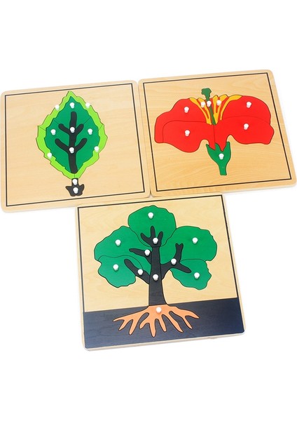 Ağaç Stili Bebek Montessori Malzemeleri Ahşap Bulmacalar Eğitici Oyuncaklar Bitki Büyüme Panosu Ahşap Oyuncak Öğrenme Tangram Jigsaw Çocuklar Okul Öncesi (Yurt Dışından)