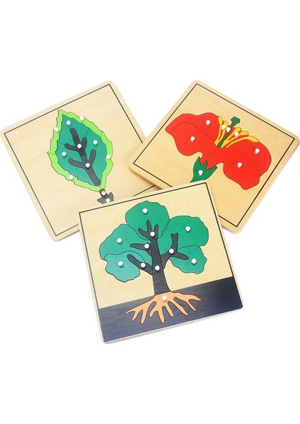 Ağaç Stili Bebek Montessori Malzemeleri Ahşap Bulmacalar Eğitici Oyuncaklar Bitki Büyüme Panosu Ahşap Oyuncak Öğrenme Tangram Jigsaw Çocuklar Okul Öncesi (Yurt Dışından)