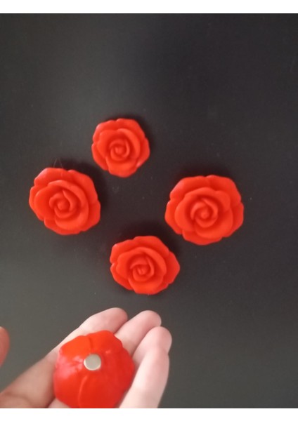STARLAB3DSTUDIOS Gül Şeklinde Magnet (10'lu) (4cm)