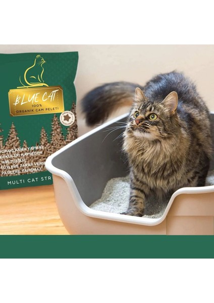 Çam Peleti Sürüngen Kumu Net 2.5 kg - 5 Lt - Topaklanmayan %100 Organik Cam Peledi