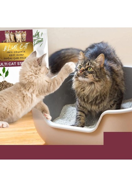 Çam Peleti Kedi Kumu Net 2.5 kg - 5 Lt - Topaklanmayan %100 Organik Cam Peledi fiyatları