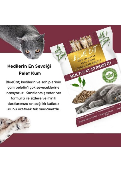 Çam Peleti Kedi Kumu Net 2.5 kg - 5 Lt - Topaklanmayan %100 Organik Cam Peledi modelleri